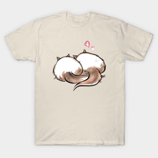 Two lovely Ragdoll cat T-Shirt